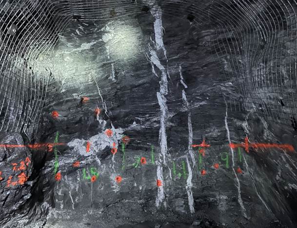 Figure 3: Vein Corridor in Lowhee Bulk Sample Area