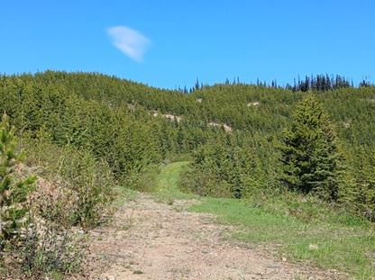 Pic 1. Fran Gold Project looking East from Main Zone to Ridge (DDH-2018-094) along strike.