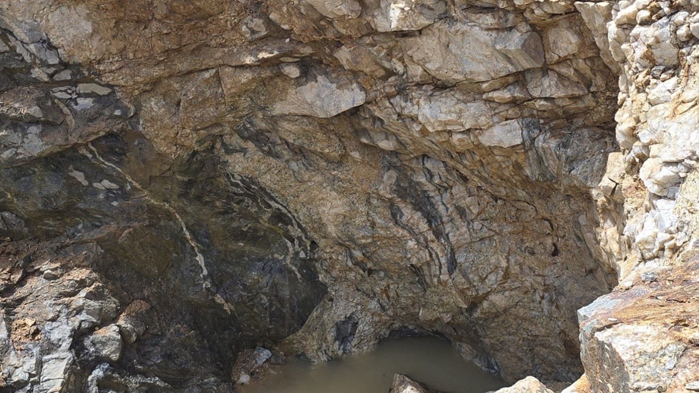 Vein zone at Stranger Target, showing laminated veins adjacent to an intrusion.
