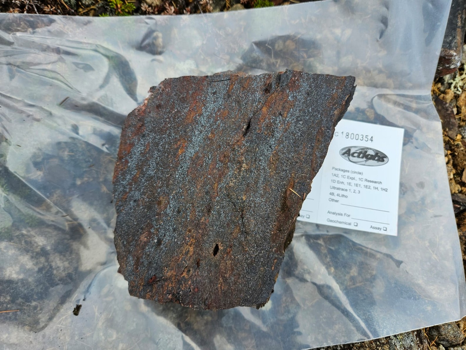 Sample 800354: Strongly magnetic sample of “banded magnetite and red chert, predominately massive magnetite (~2cm diameter) with goethite” 48.05 Fe2O3(T) % (FUS-ICP)