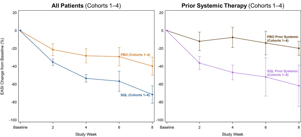 Efficacy in Patients with Prior Systemic Therapy (Cohorts 1–4).