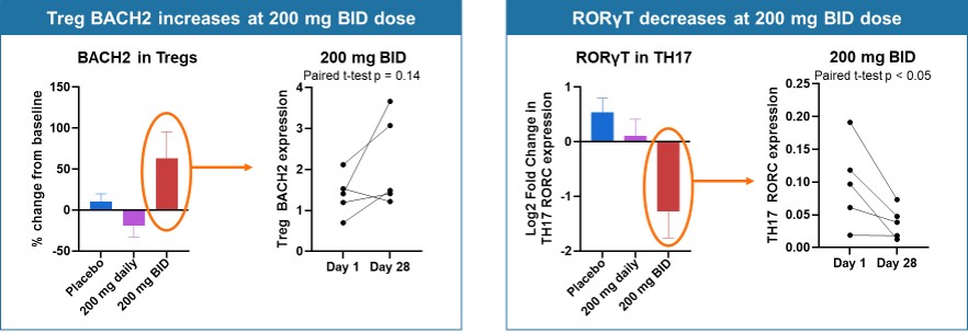 Inhibiting ITK Regulates Switch to Treg from Th17 - Increased BACH2 and Reduced RORγT Expression measured using scRNAseq.