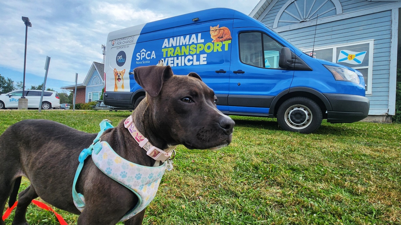 Nova Scotia SPCA Mobile Unit