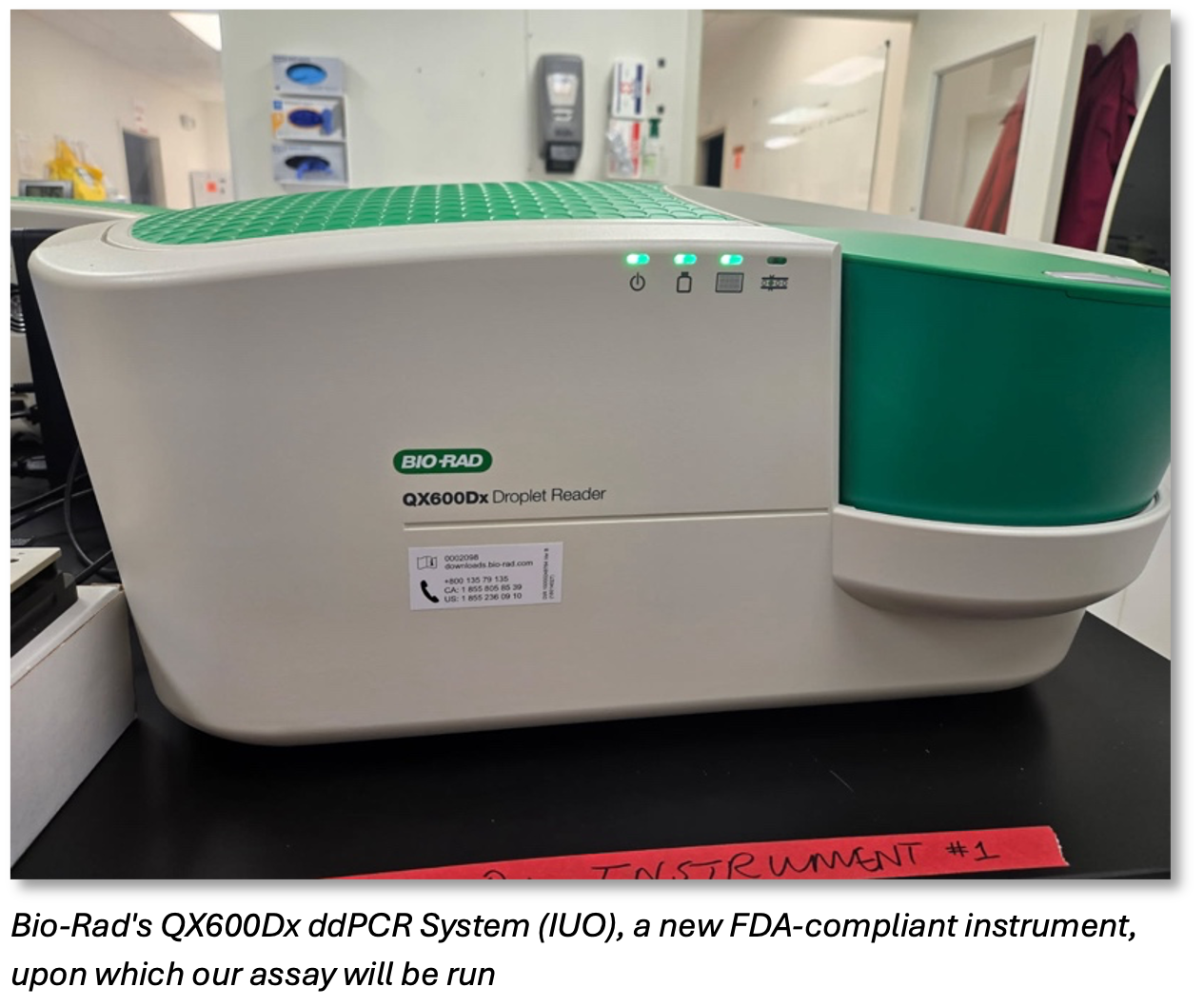 Figure 3 -- Caption Under Photo