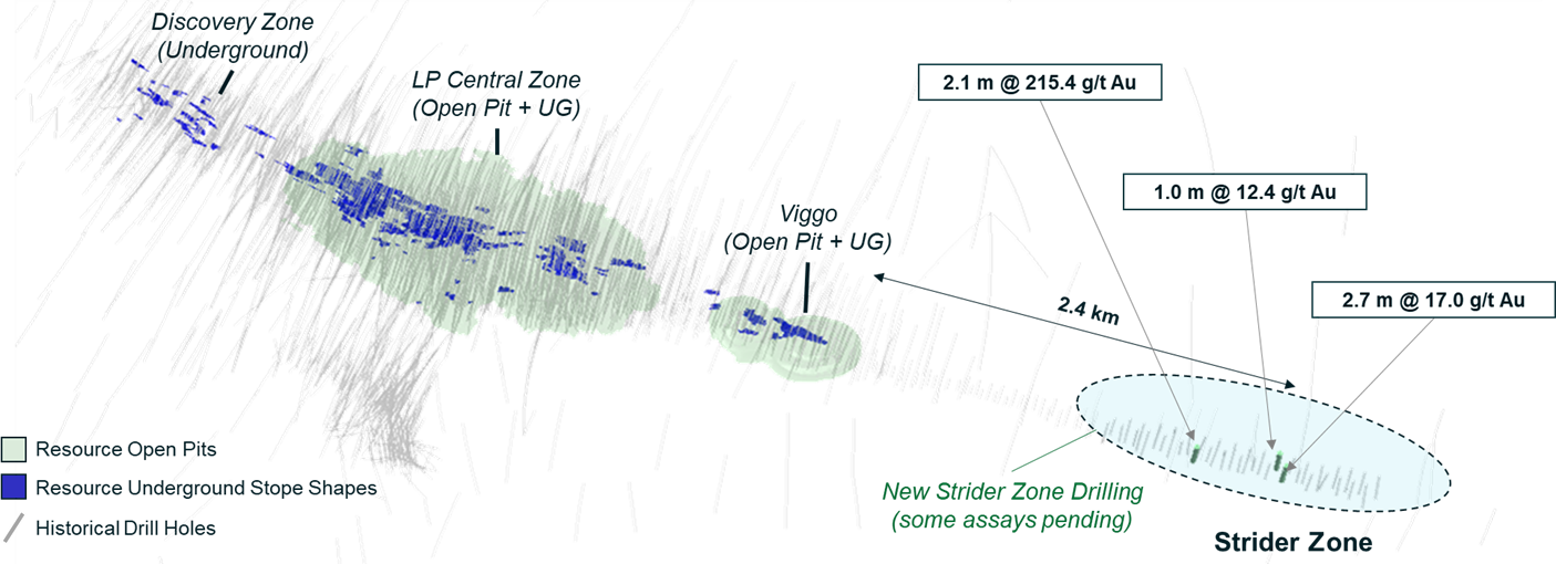 Great Bear Plan View
