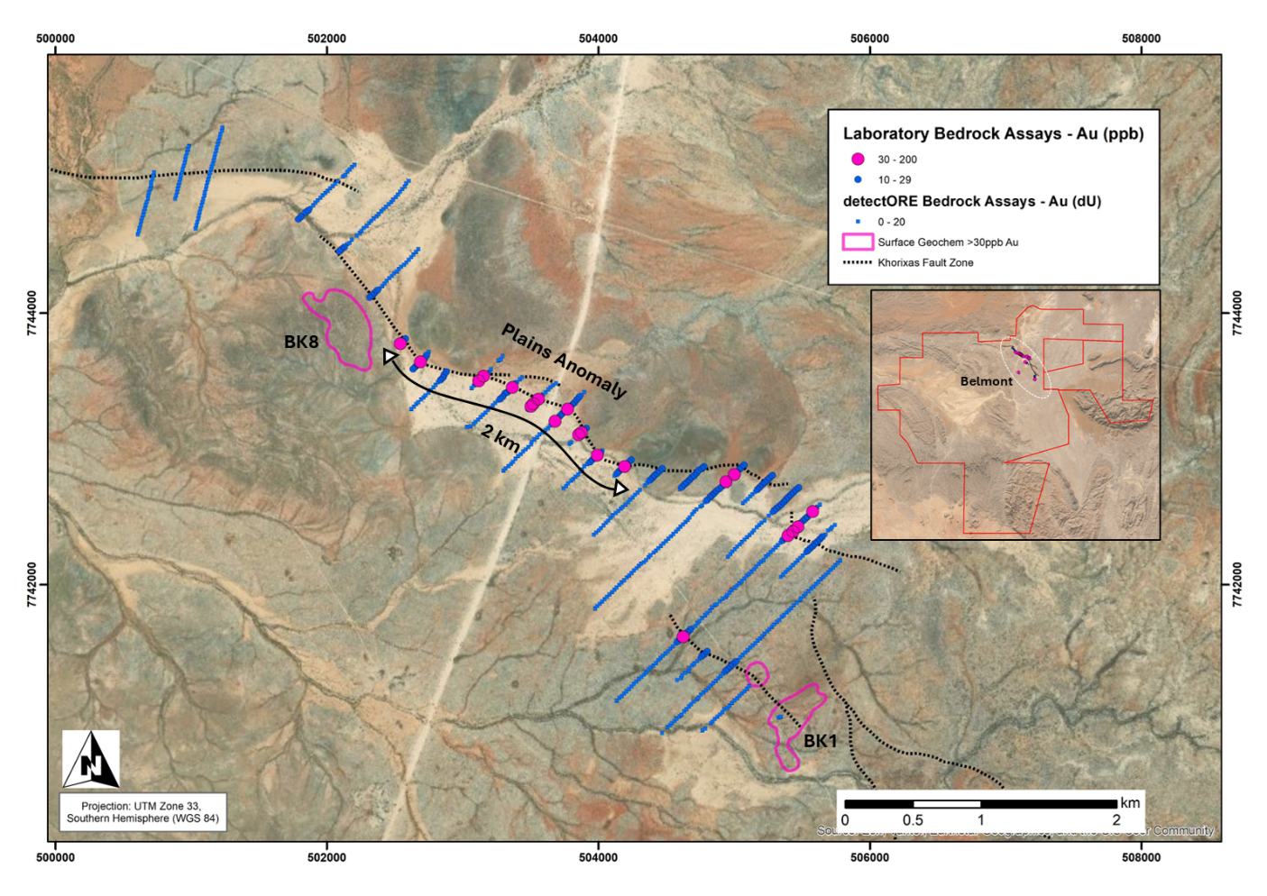 Bedrock sampling assays outlining the newly delineated Plains anomaly within the Belmont prospect. Full explanation of the in-house and MSALABS assays given in the paragraph below. In the figure, all the samples that were re-assayed by MSALABS are shown as larger blue and pink dots.