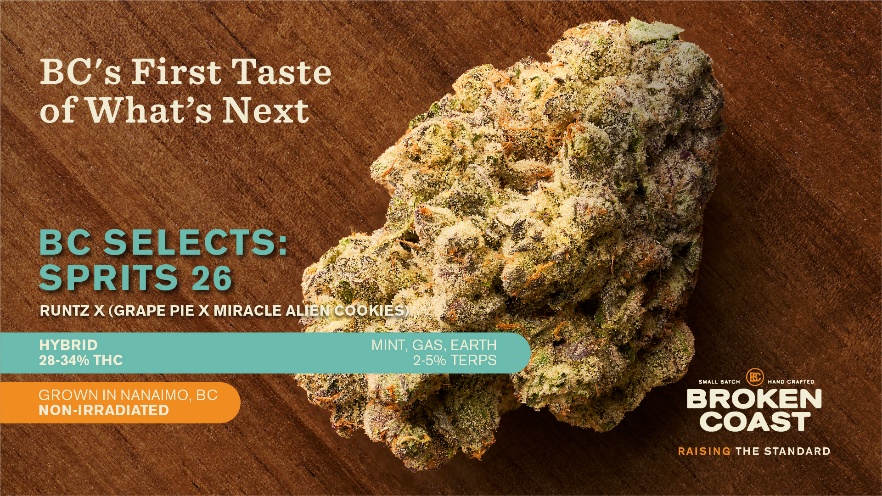 Broken Coast Sprits 26