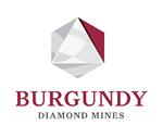 Primary Logo
