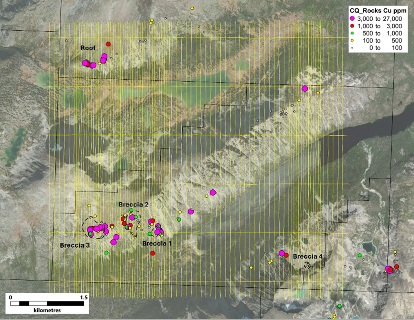Flight lines for the VTEM survey conducted at Copper Queen
