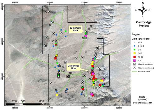 Figure 4: Gold in Preliminary Rock Sampling – Cambridge Property.