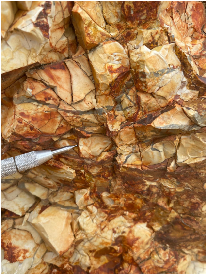 Chalcedonic silica replacement cut by quartz hairline veinlets