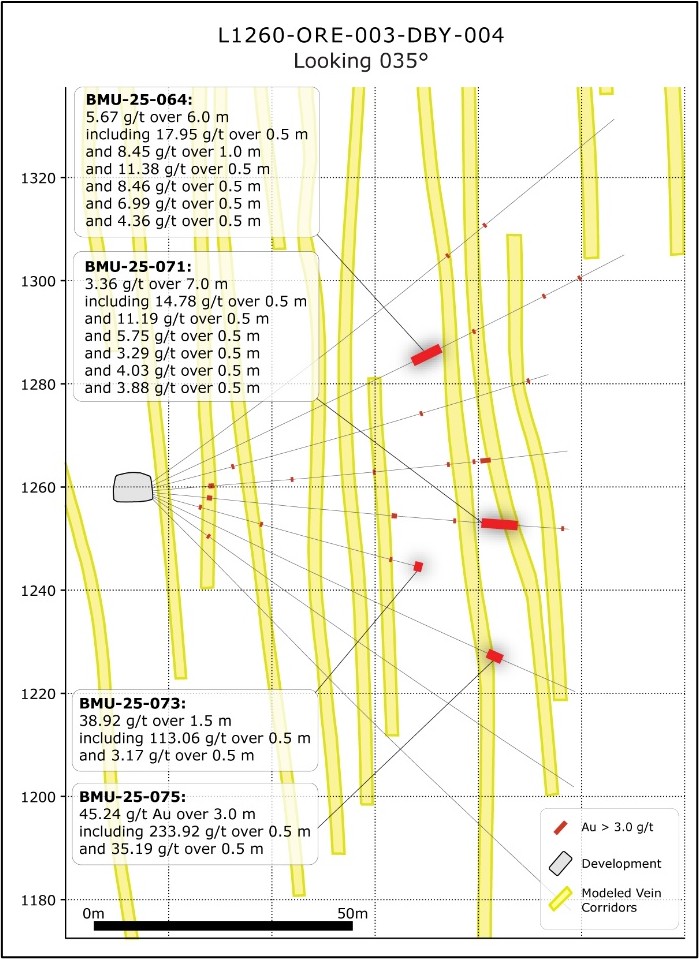 Osisko Development Corp