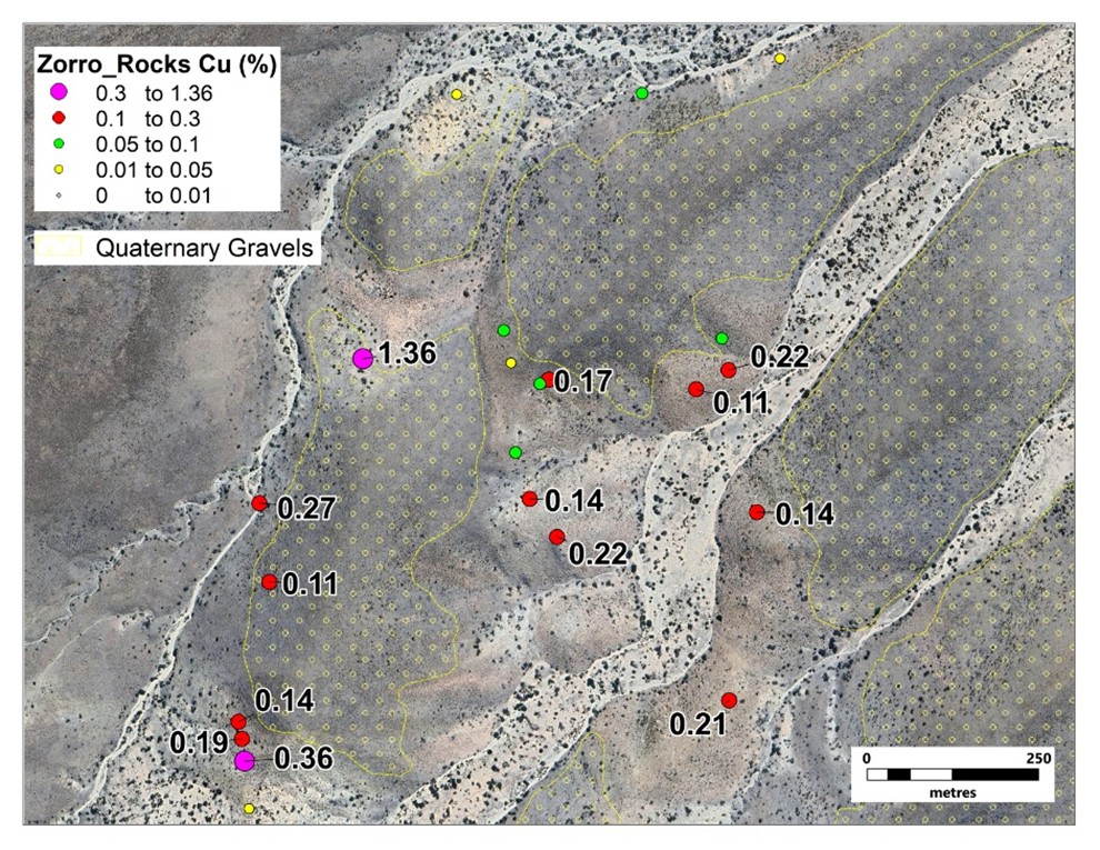 Details of the Zorro North zone showing % Cu values for samples received to date.