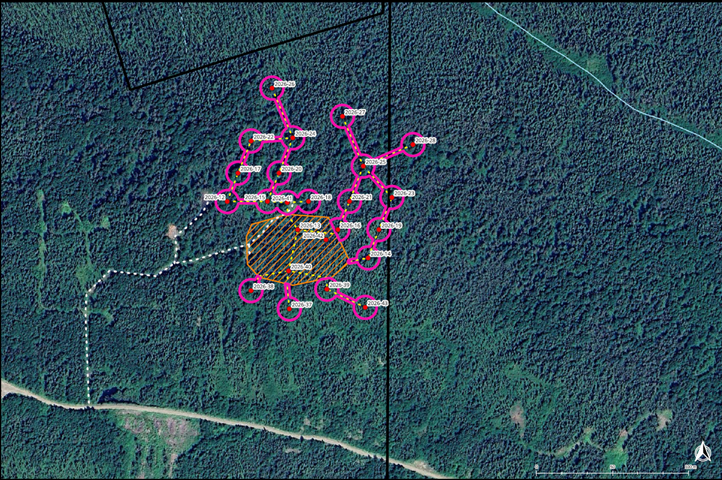 Location of the West Sector Drilling (South Zone)
