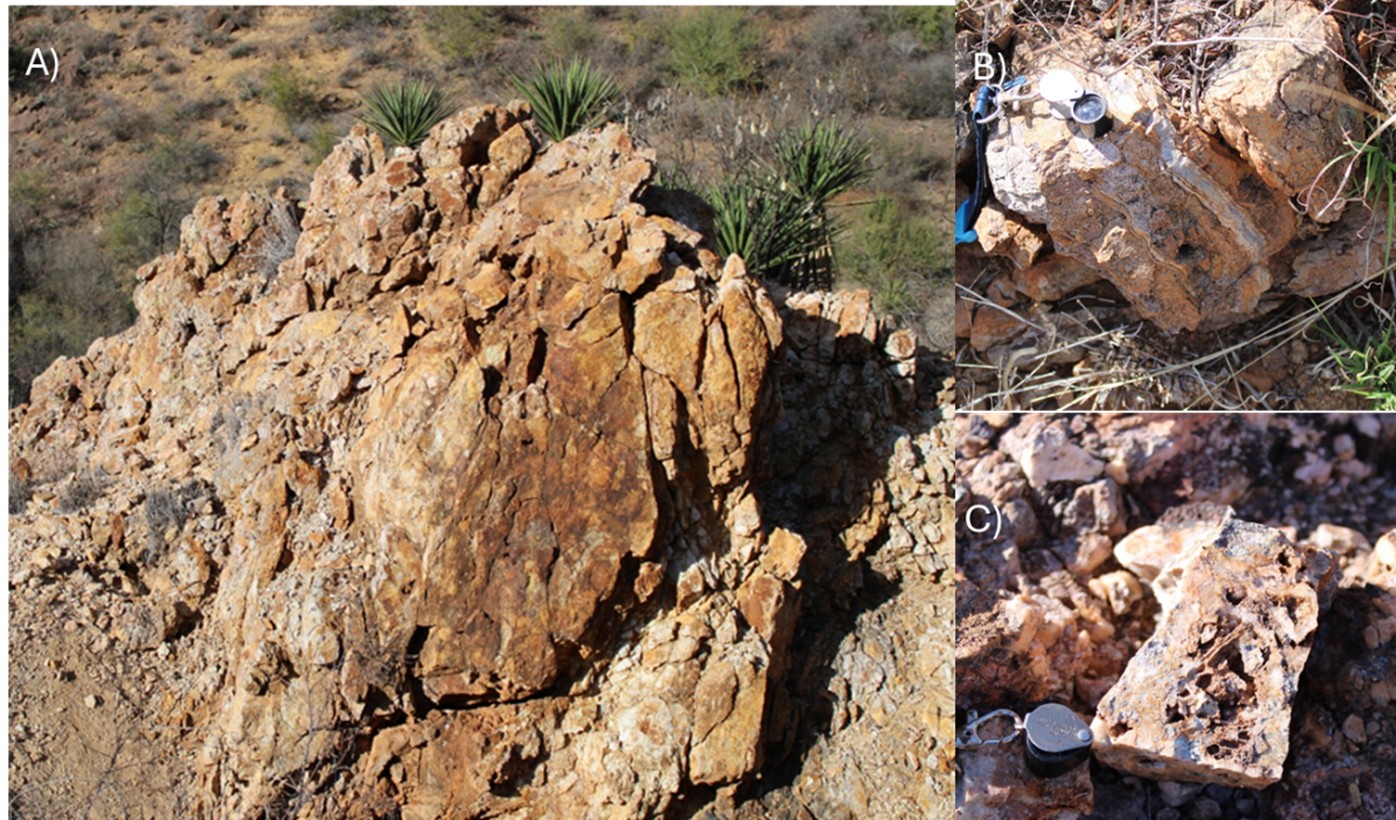 A) Quartz vein outcrop at Oso Negro property. B) and C) quartz textures from shallow levels of the epithermal system. B) crustiform texture C) boxwork texture.