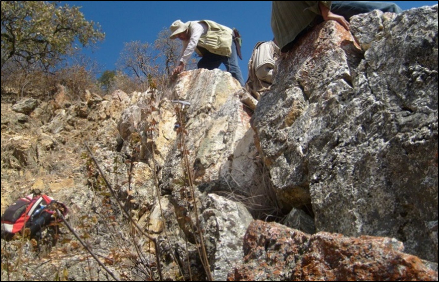 One of several high-level epithermal quartz veins on the property, all of which are largely unsampled and have never been drill tested.
