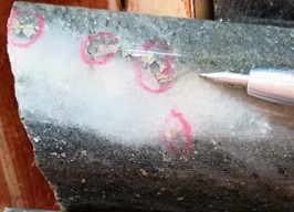 P17 Drill Core Photos – highlighting visible gold within higher-grade sub-zone