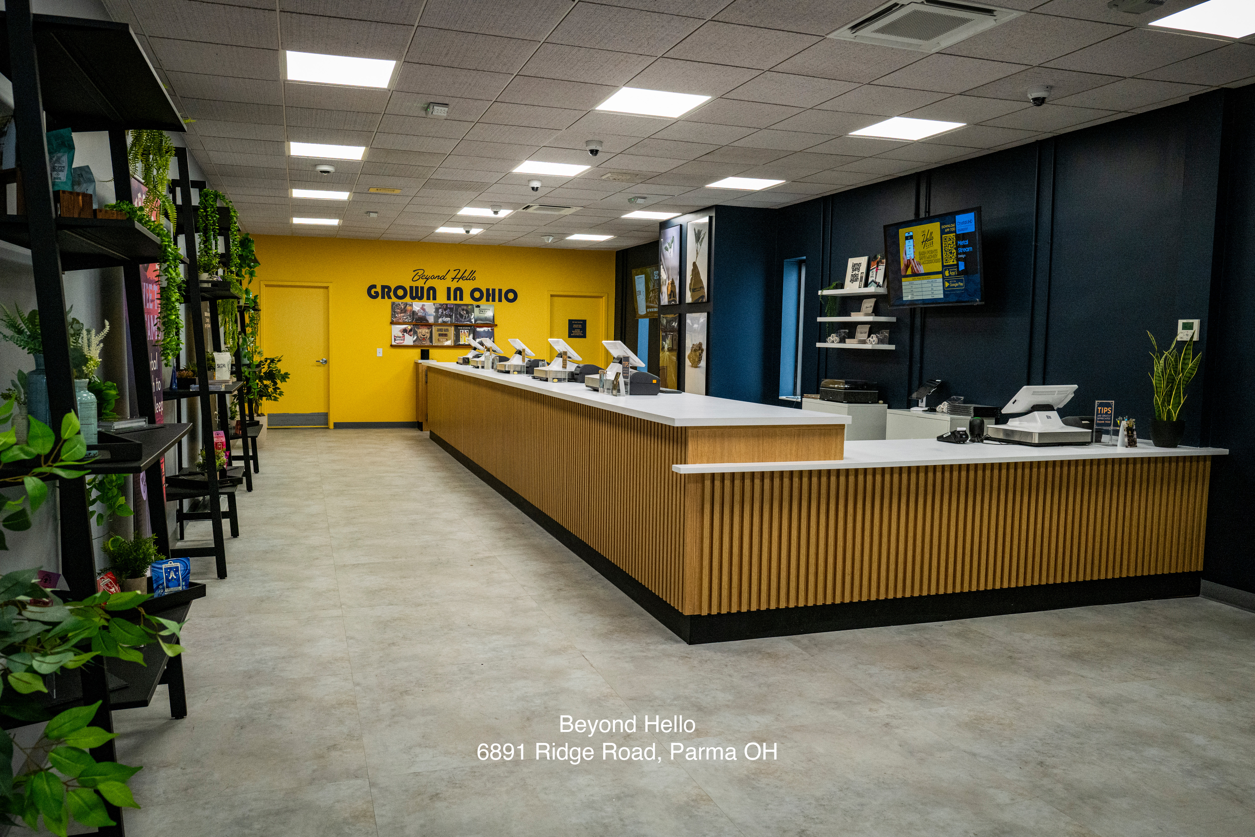 L1300397_Parma_Ohio (1)