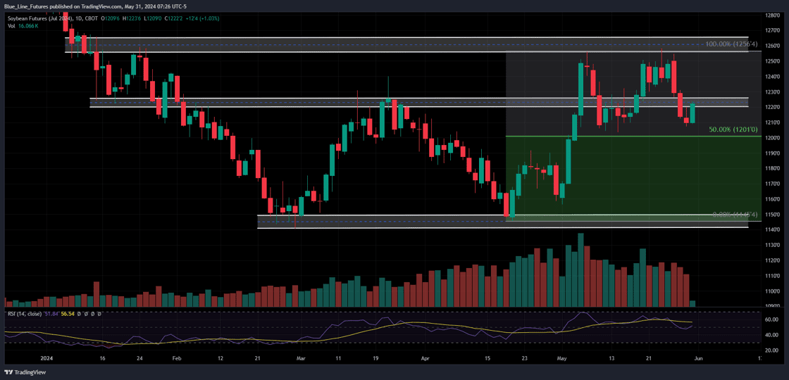 ZSN2024_2024-05-31_07-26-05