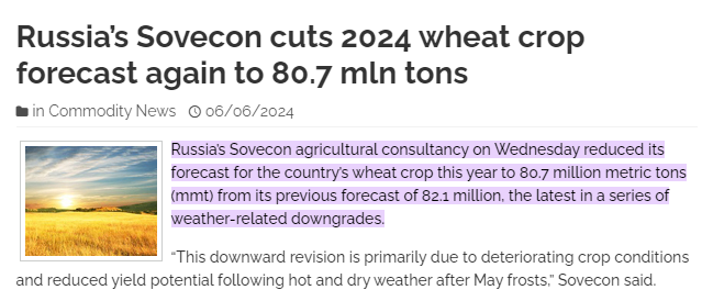 A screenshot of a news article
Description automatically generated