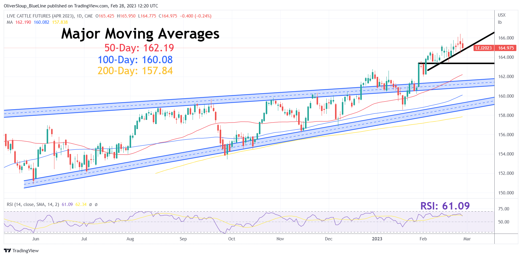 Cattle futures consolidate despite a firmer cash trade, what does it