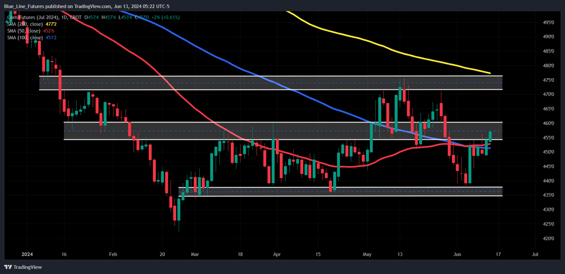 ZCN2024_2024-06-13_05-22-45