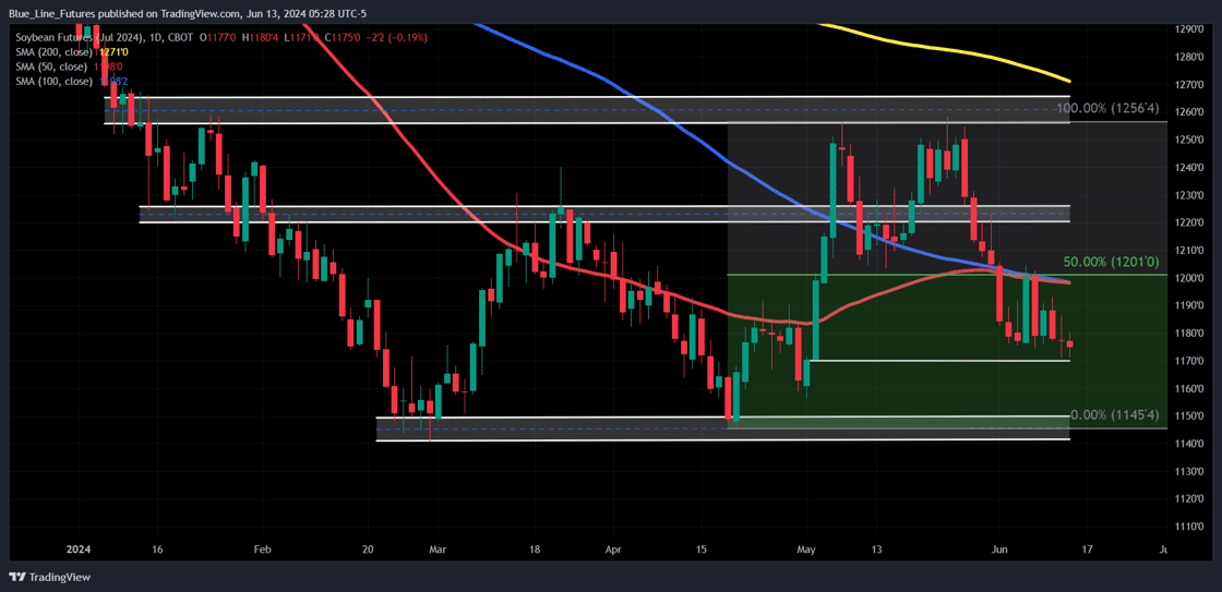 ZSN2024_2024-06-13_05-28-32