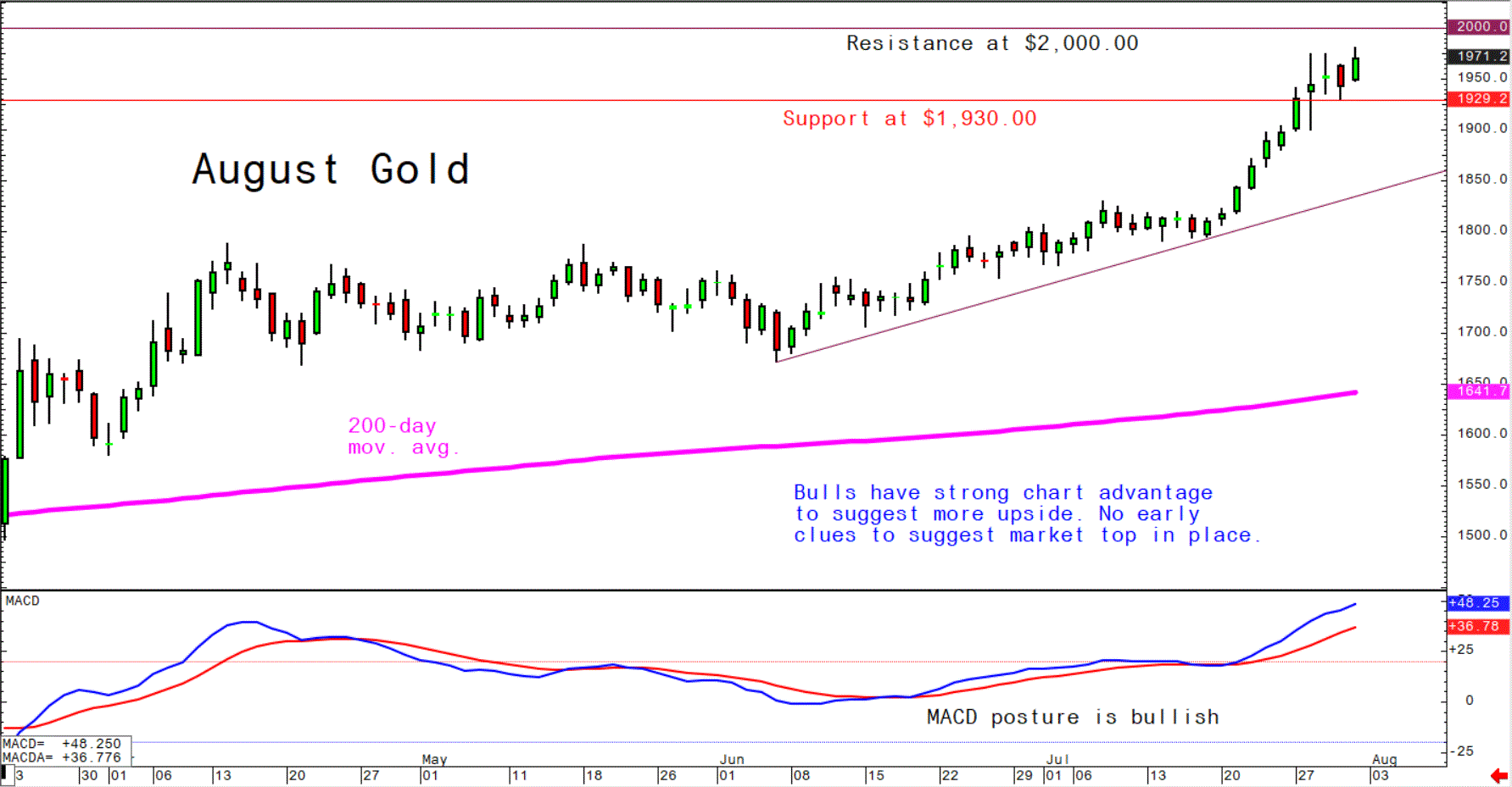 Daily Technical Spotlight - August Gold