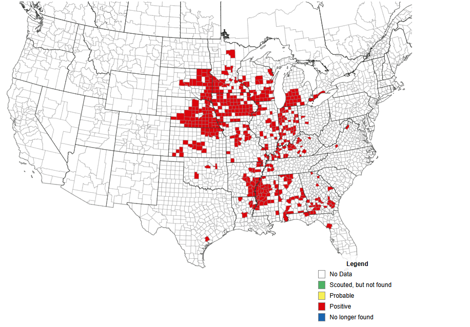 Walsh Corn Opportunities - Pure Hedge Division