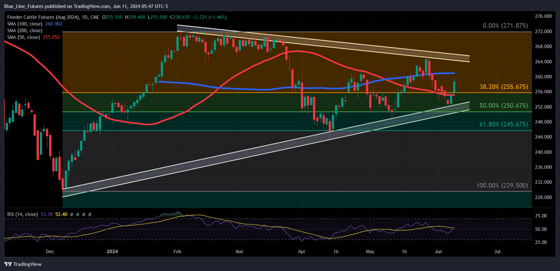 GFQ2024_2024-06-11_05-49-06