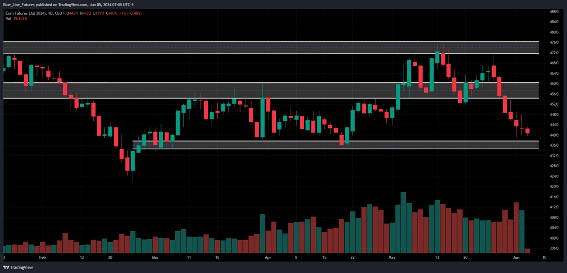 ZCN2024_2024-06-05_07-05-41