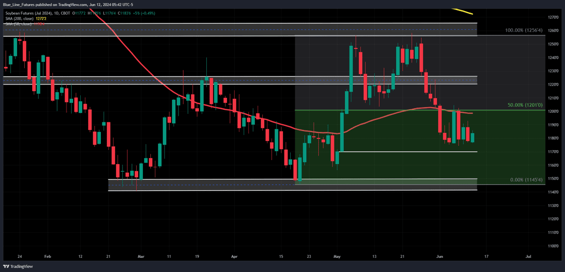 ZSN2024_2024-06-12_05-42-46