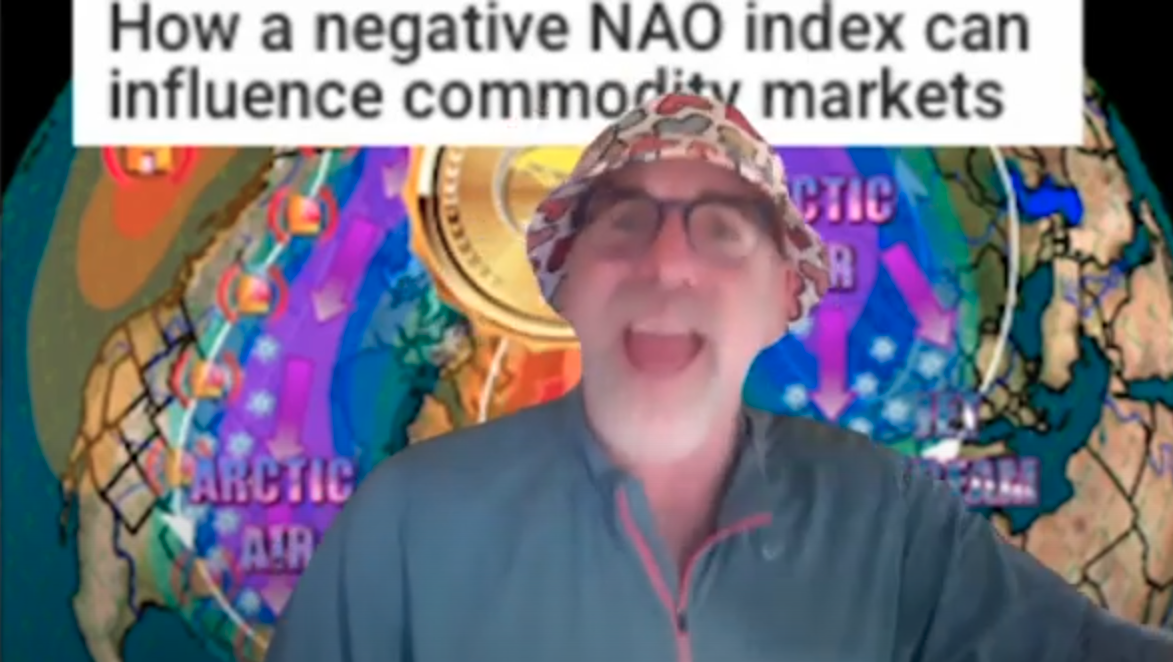 Estelline Coop Grain