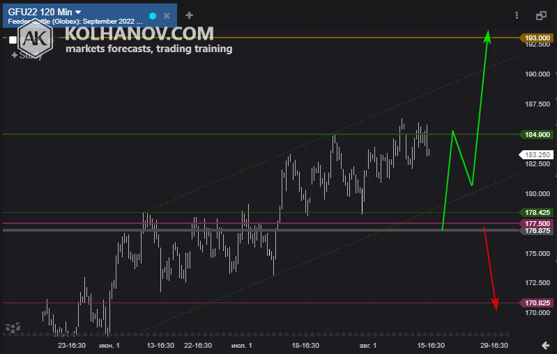 Feeder Cattle Weekly Forecast The Globe and Mail