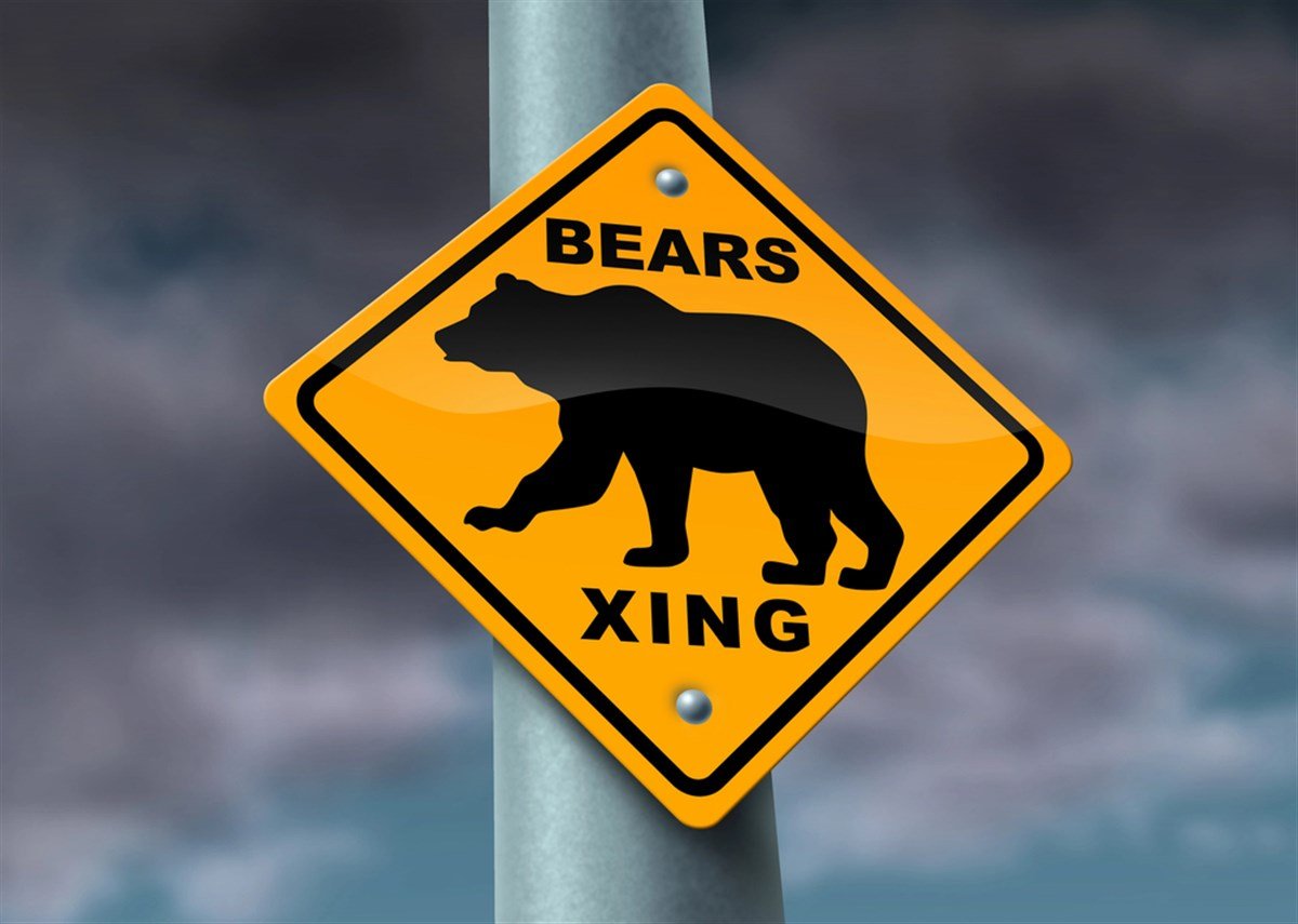 Bear Market Warning sign — Photo