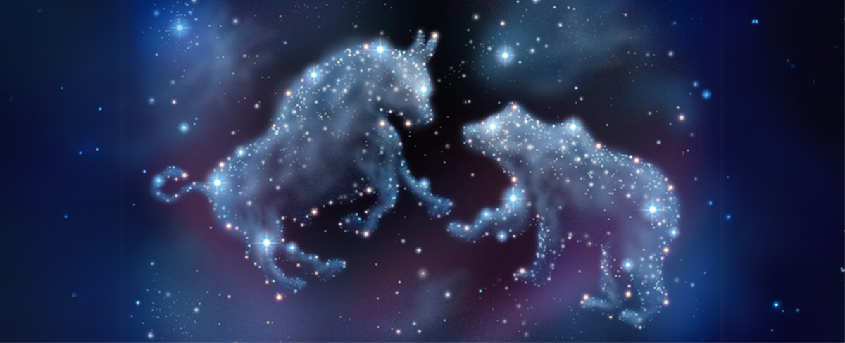 Photo of bear and bull as constellations in the sky
