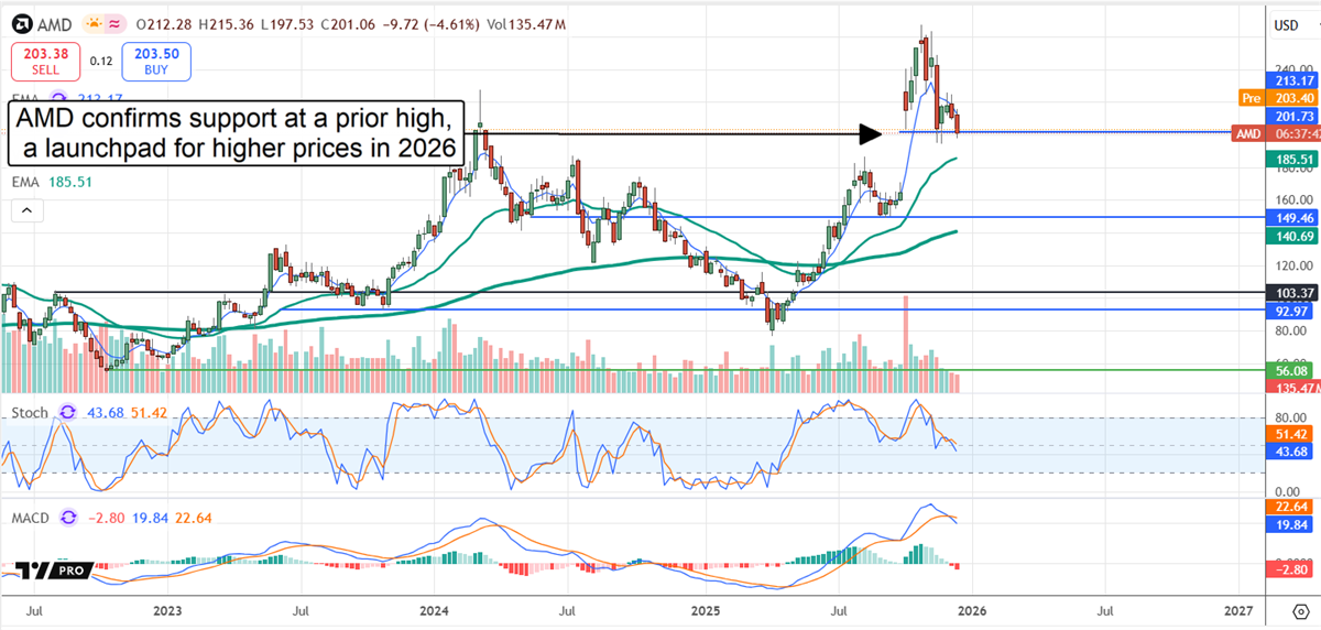 AMD holds prior-high support, forming a base for a potential 2026 breakout.