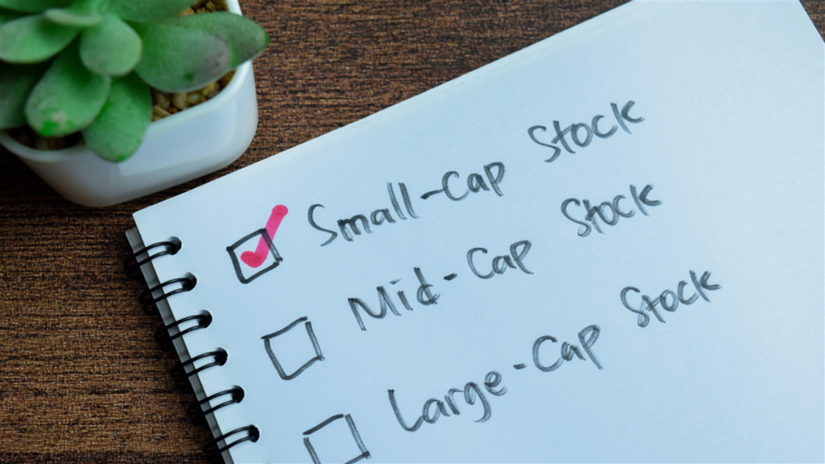 Concept of Small-Cap Stock written on book