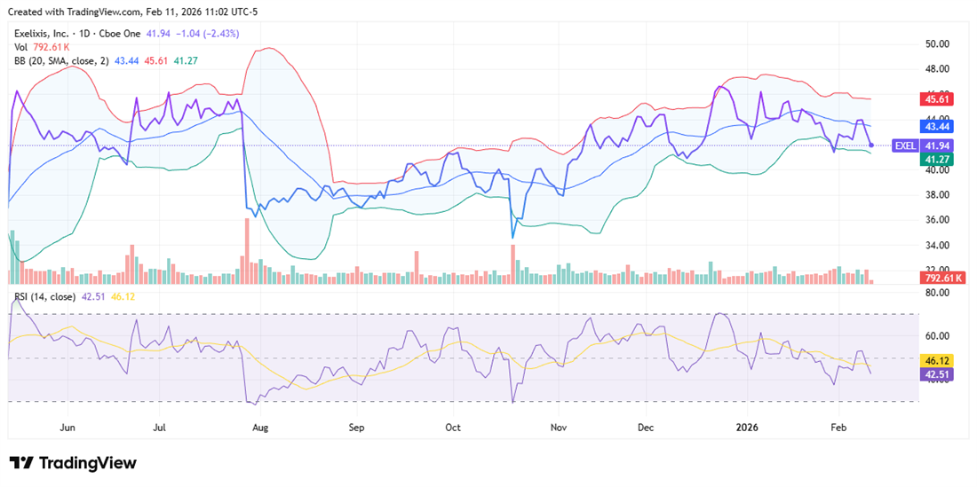 Exelixis stock chart with Bollinger Bands and RSI near midrange, signaling mixed biotech momentum and consolidation.