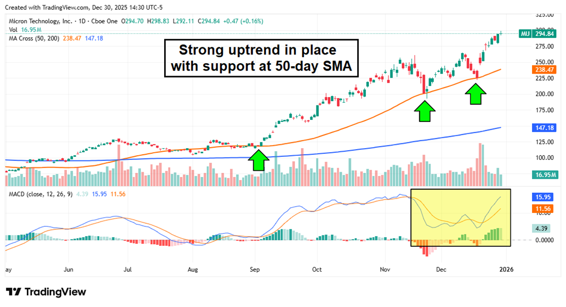 Micron stock chart shows a strong uptrend with repeated bounces at the 50-day moving average, signaling sustained momentum in semiconductor shares.
