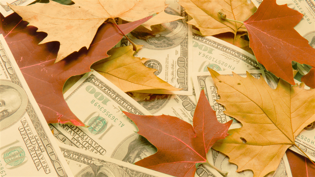 Dollar bills and fall leaves
