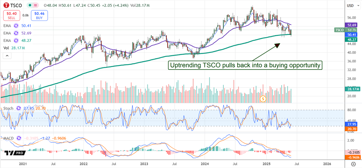 TSCO stock chart 