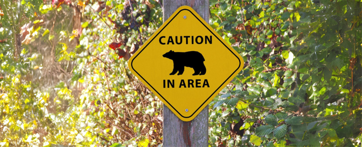 Photo of a "Caution Bear in Area" yellow sign on a post amid foliage