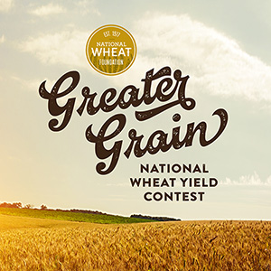 GREATER_GRAIN_SCRIPT_300x300.jpg