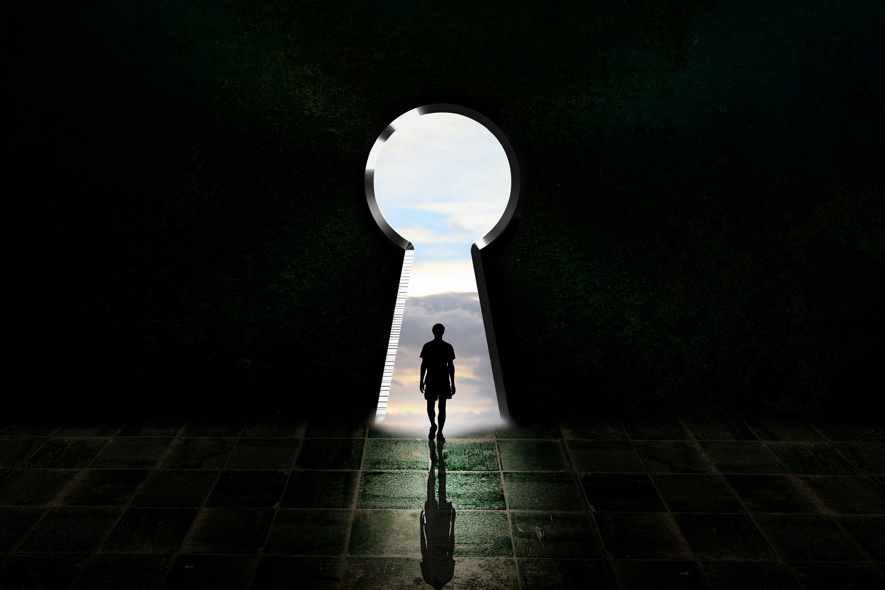 Spider Silk Has Been a Lab Curiosity for Decades; One Company Just ...