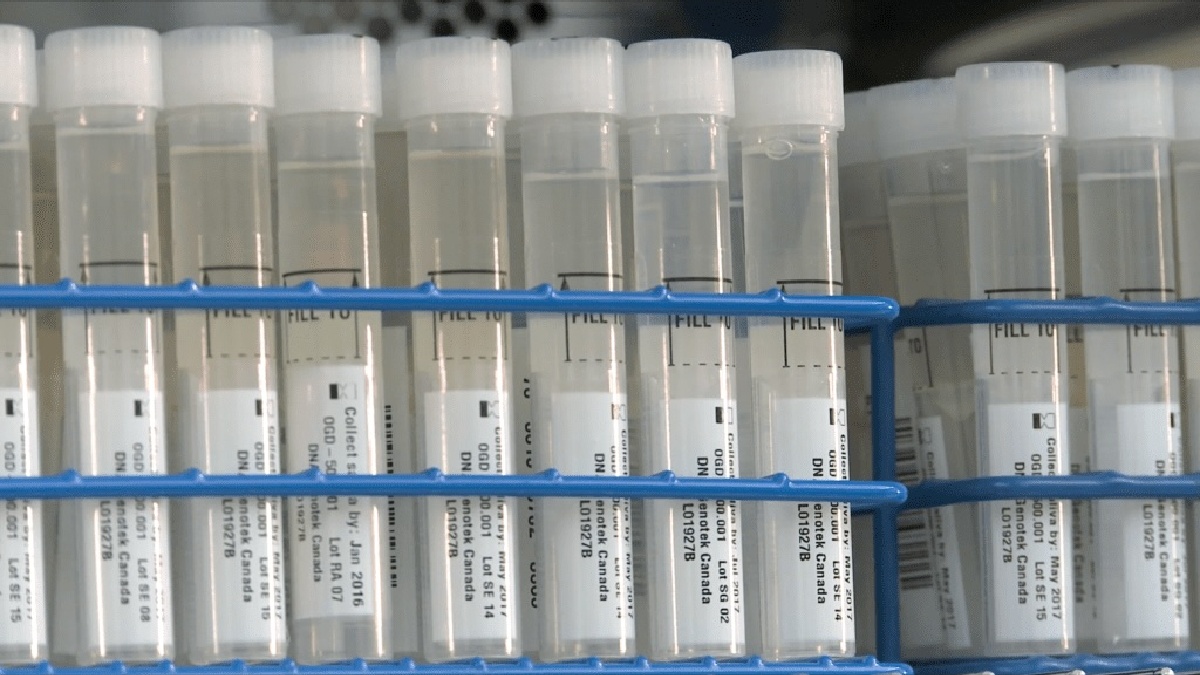 Rack of 23andMe test tubes containing genetic material.