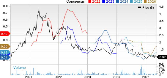 Usinas Siderurgicas de Minas Gerais SA Price and Consensus
