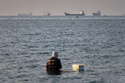 A person sits in shallow water as cargo and commercial vessels are anchored in the Strait of Hormuz off Bandar Abbas, Iran, Monday, June 8, 2026. (Amirhosein Khorgooi/ISNA via AP)