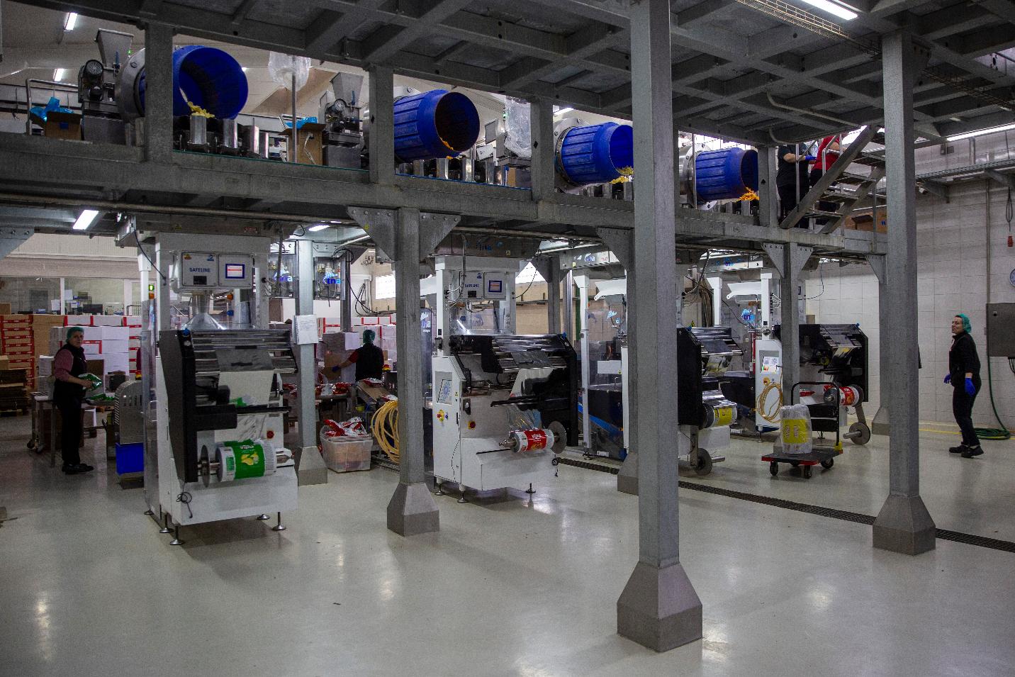 Workers are seen at production line of Vipa Chips factory in the village of Pestove, Kosovo on March 26, 2026. (AP Photo/Visar Kryeziu)