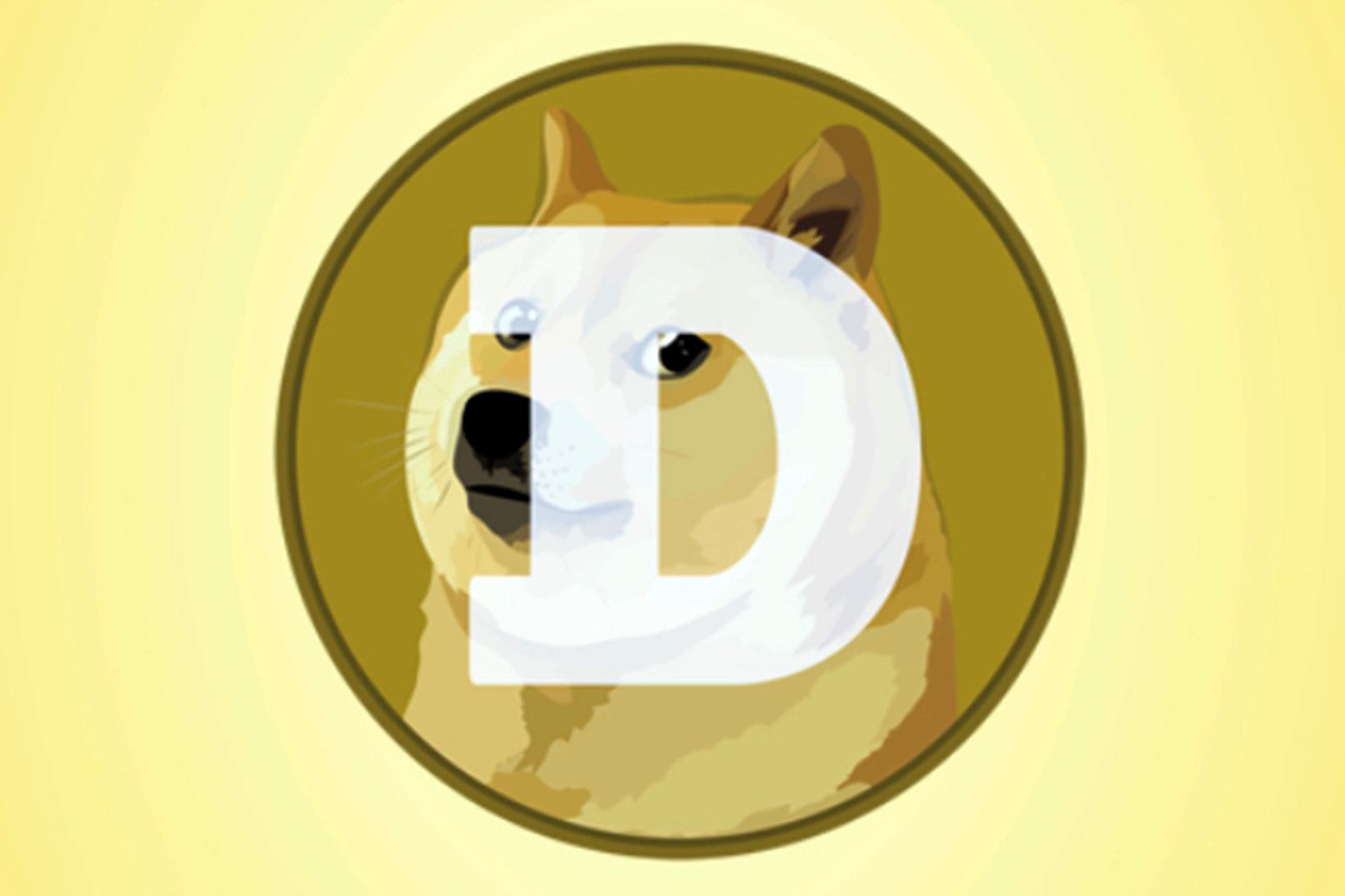 Bull doge! Dogecoin soars as Trump announces a government efficiency group  nicknamed DOGE